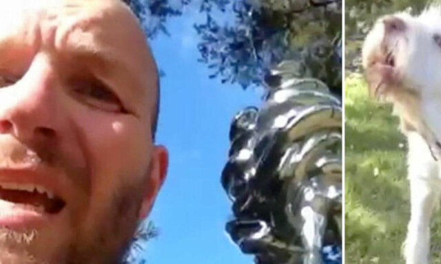 Mann (44) anmelder Ekebergparken